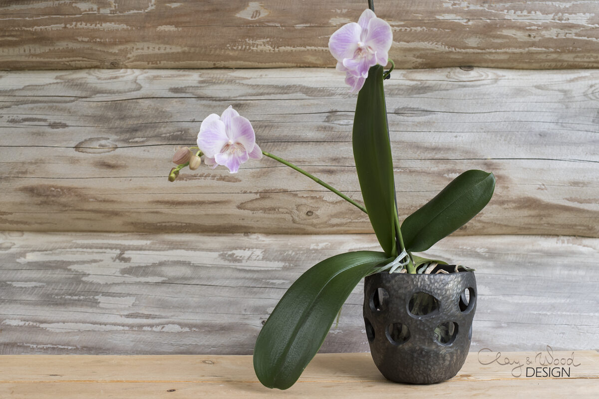 Melnās keramikas puķu pods orhidejām ar faktūru