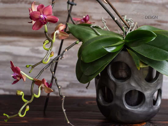 Melnās keramikas puķu pods orhidejai