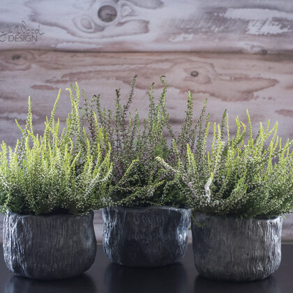Textured black ceramic planters for indoor plants