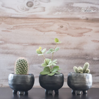 Small planters on legs of black pottery