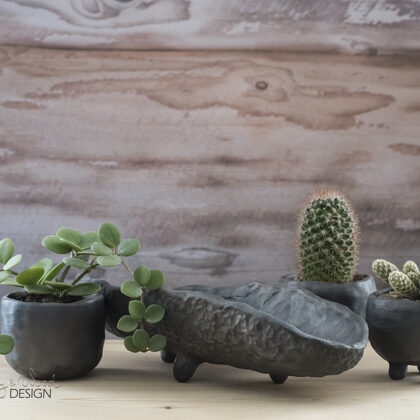 Planter in shape of boat for small succulents and cactuses