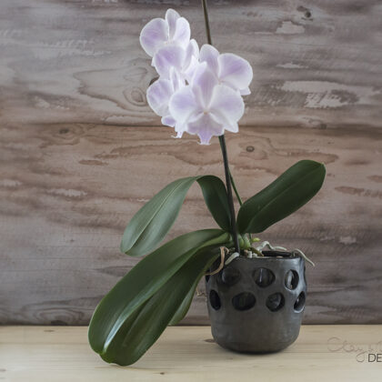 Orchid pot with holes. Decorative black pottery planter.