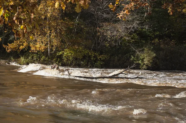 Abava rapids in autumn