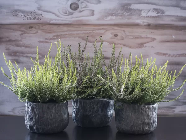 Textured black ceramic planters for indoor plants