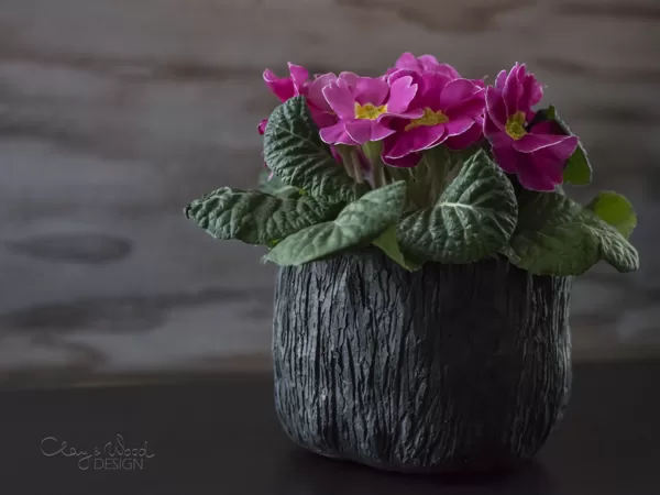 Decorative pots for plants
