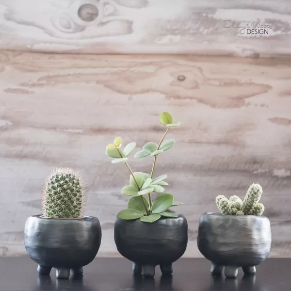 Black ceramic planters