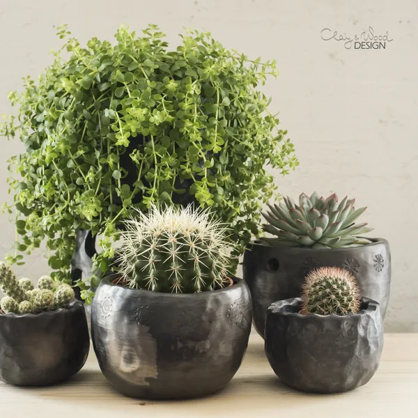 Handmade black pottery decorative planters