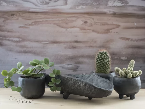 Planter in shape of boat for small succulents and cactuses
