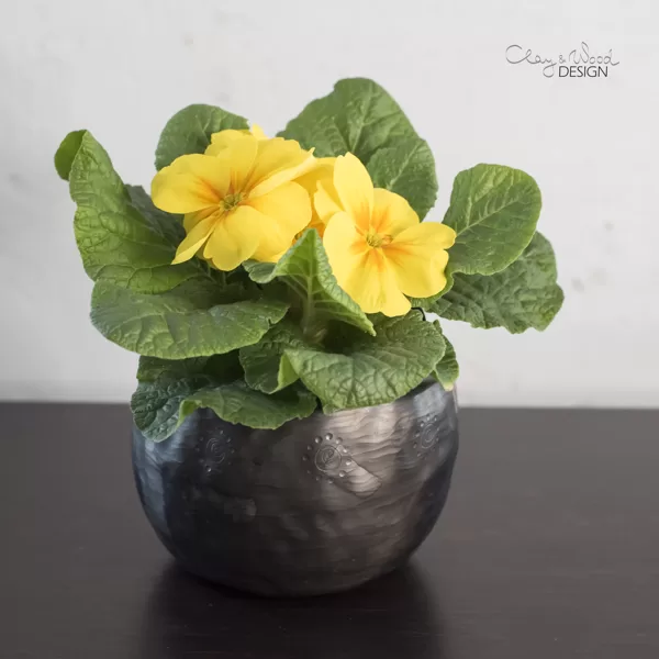 Black ceramic planters for indoor plants