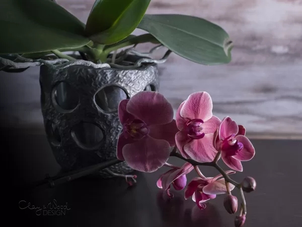 Textured black pottery planter with holes for orchid