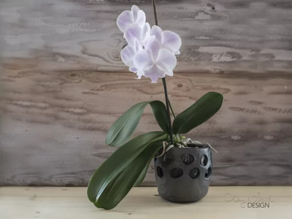 Orchid pot with holes. Decorative black pottery planter.